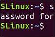 Reinicie o servidor Ubuntu com estes 3 comando